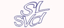 Visual Challenge