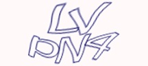 Visual Challenge